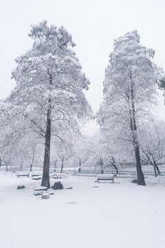 武汉东湖磨山风景区冬季雪景