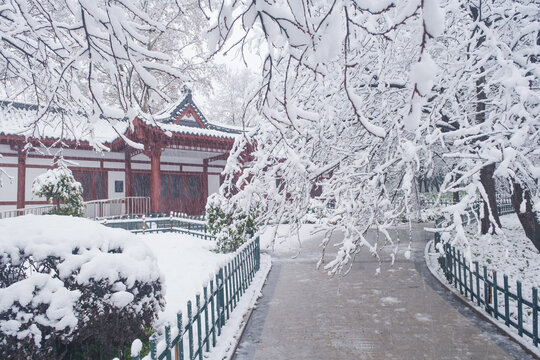 武汉东湖磨山风景区冬季雪景