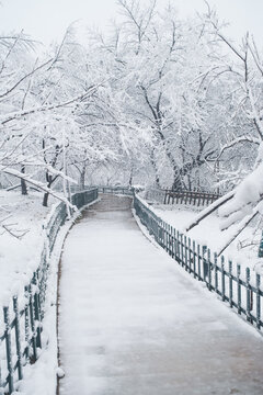 武汉东湖磨山风景区冬季雪景