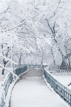 武汉东湖磨山风景区冬季雪景