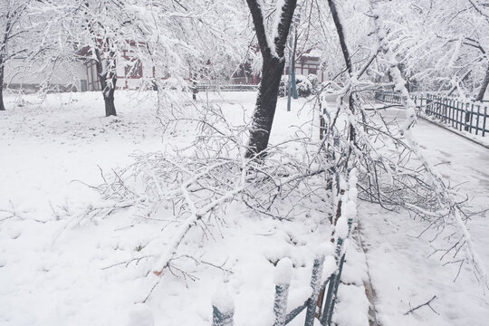 武汉东湖磨山风景区冬季雪景