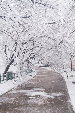 武汉东湖磨山风景区冬季雪景