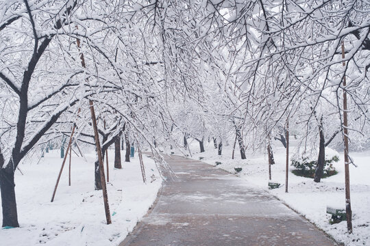 武汉东湖磨山风景区冬季雪景