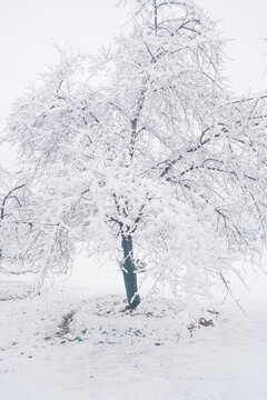 武汉东湖磨山风景区冬季雪景