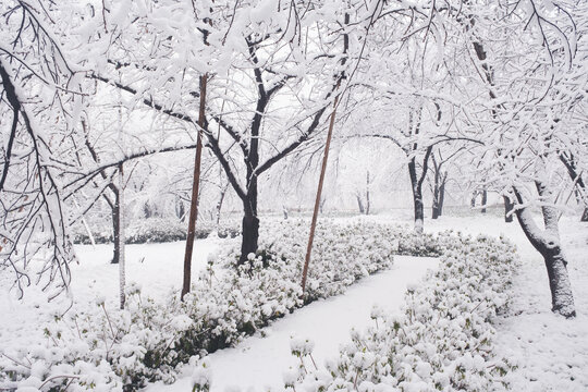 武汉东湖磨山风景区冬季雪景