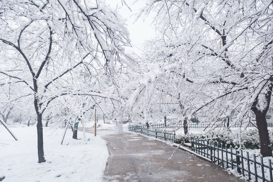 武汉东湖磨山风景区冬季雪景