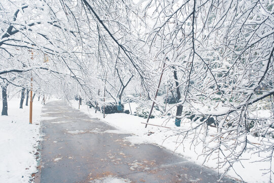 武汉东湖磨山风景区冬季雪景