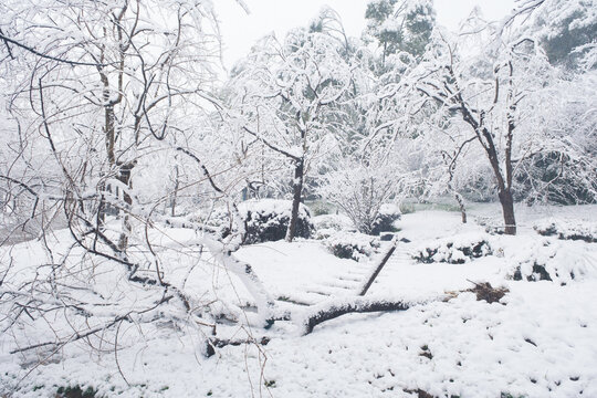 武汉东湖磨山风景区冬季雪景