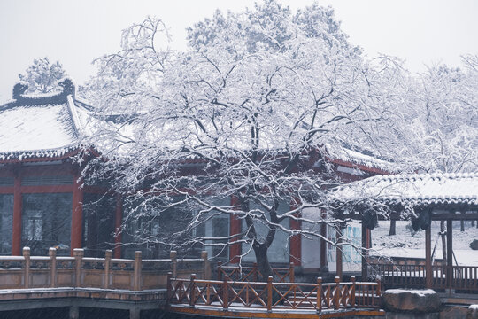 武汉东湖磨山风景区冬季雪景