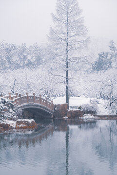 武汉东湖磨山风景区冬季雪景