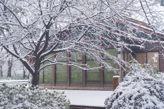 武汉东湖磨山风景区冬季雪景