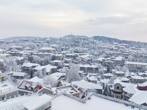 江西庐山风景区雪景风光