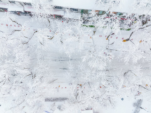 江西庐山风景区雪景风光