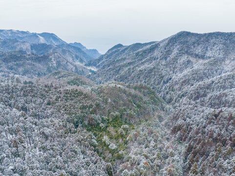 江西庐山风景区雪景风光