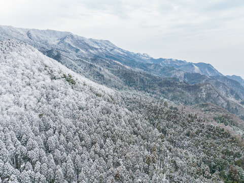 江西庐山风景区雪景风光