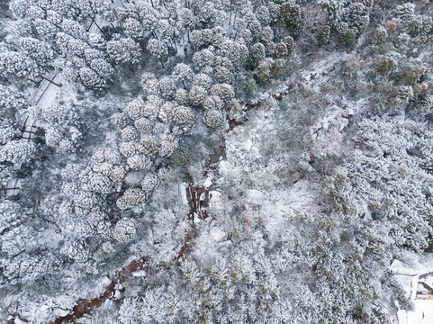 江西庐山风景区雪景风光