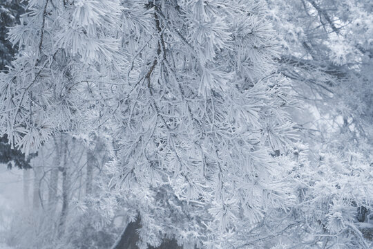 江西庐山风景区雪景风光