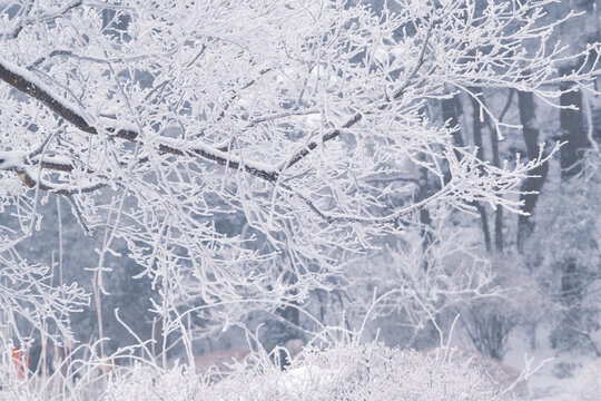 江西庐山风景区雪景风光
