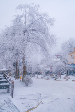 江西庐山风景区雪景风光