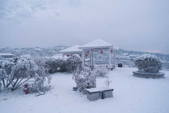 江西庐山风景区雪景风光