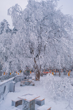江西庐山风景区雪景风光