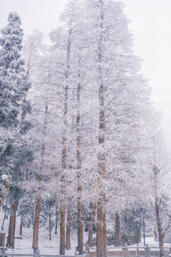 江西庐山风景区雪景风光