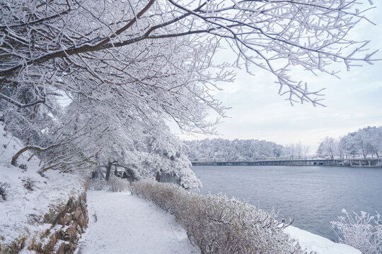 江西庐山风景区雪景风光