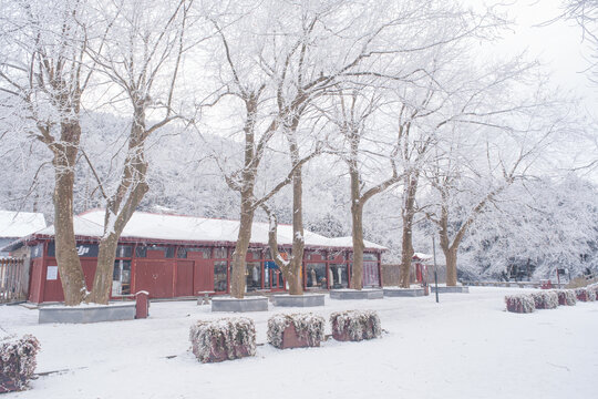 江西庐山风景区雪景风光