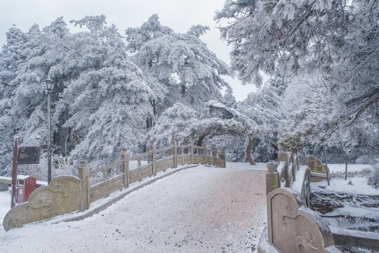 江西庐山风景区雪景风光