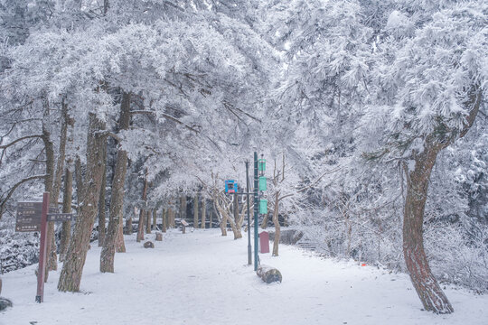 江西庐山风景区雪景风光