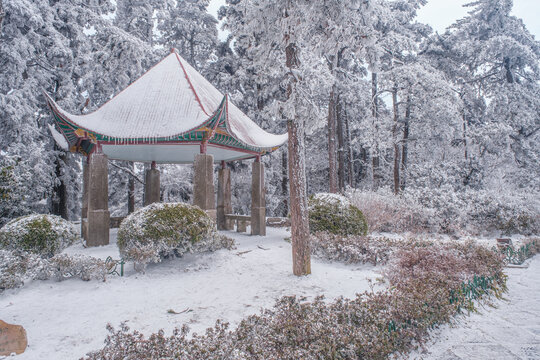 江西庐山风景区雪景风光