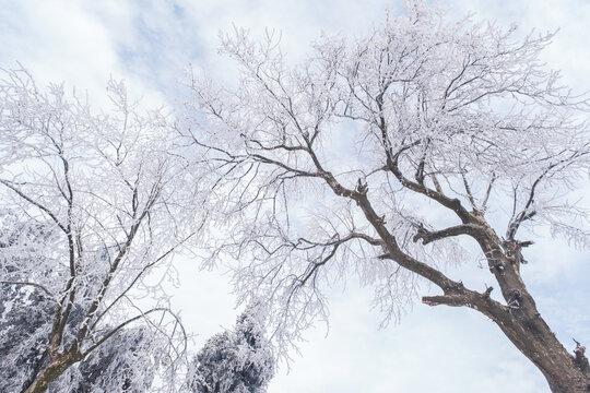 江西庐山风景区雪景风光