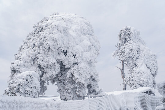 江西庐山风景区雪景风光