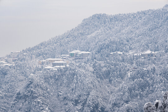 江西庐山风景区雪景风光