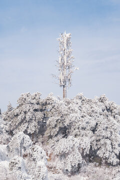 江西庐山风景区雪景风光