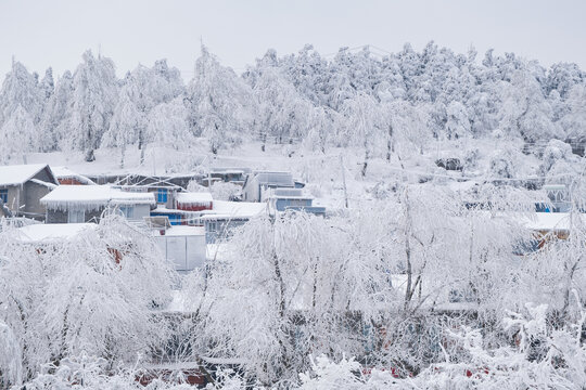 江西庐山风景区雪景风光