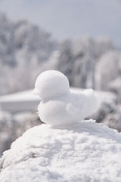 江西庐山风景区雪景风光