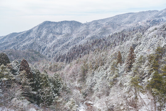 江西庐山风景区雪景风光