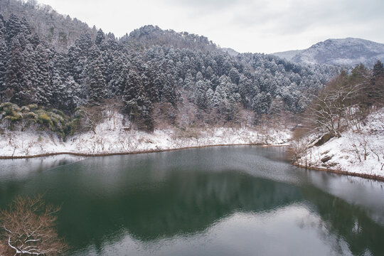 江西庐山风景区雪景风光