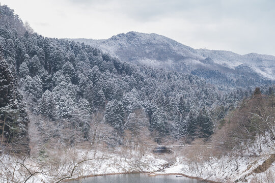 江西庐山风景区雪景风光