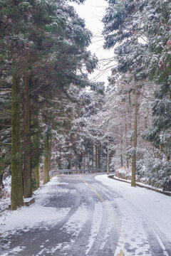 江西庐山风景区雪景风光