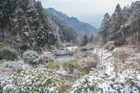 江西庐山风景区雪景风光