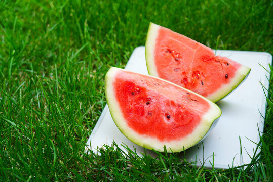 草地上的西瓜夏至立夏