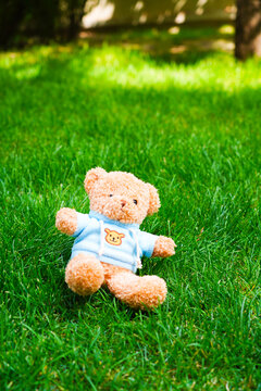 草地上的小熊玩具