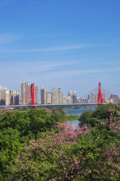 漳州市区风景