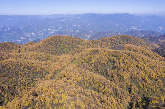 森林秋景