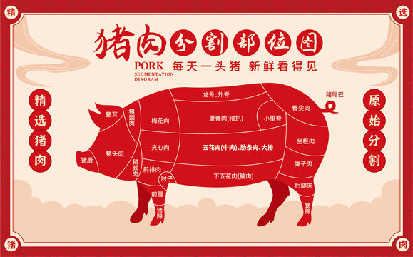 猪肉分割部位图