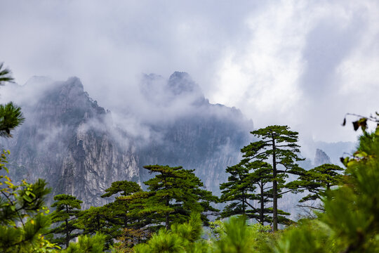 安徽黄山风景区云雾风光