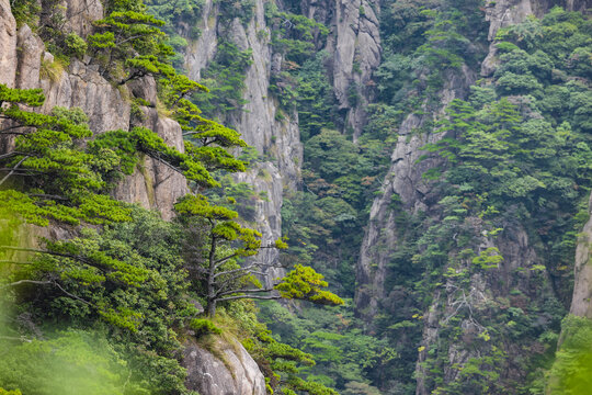 安徽黄山风景区自然风光