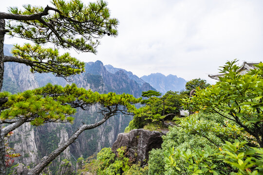 安徽黄山风景区自然风光